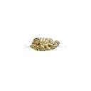 FA745-4 GOLD.webp