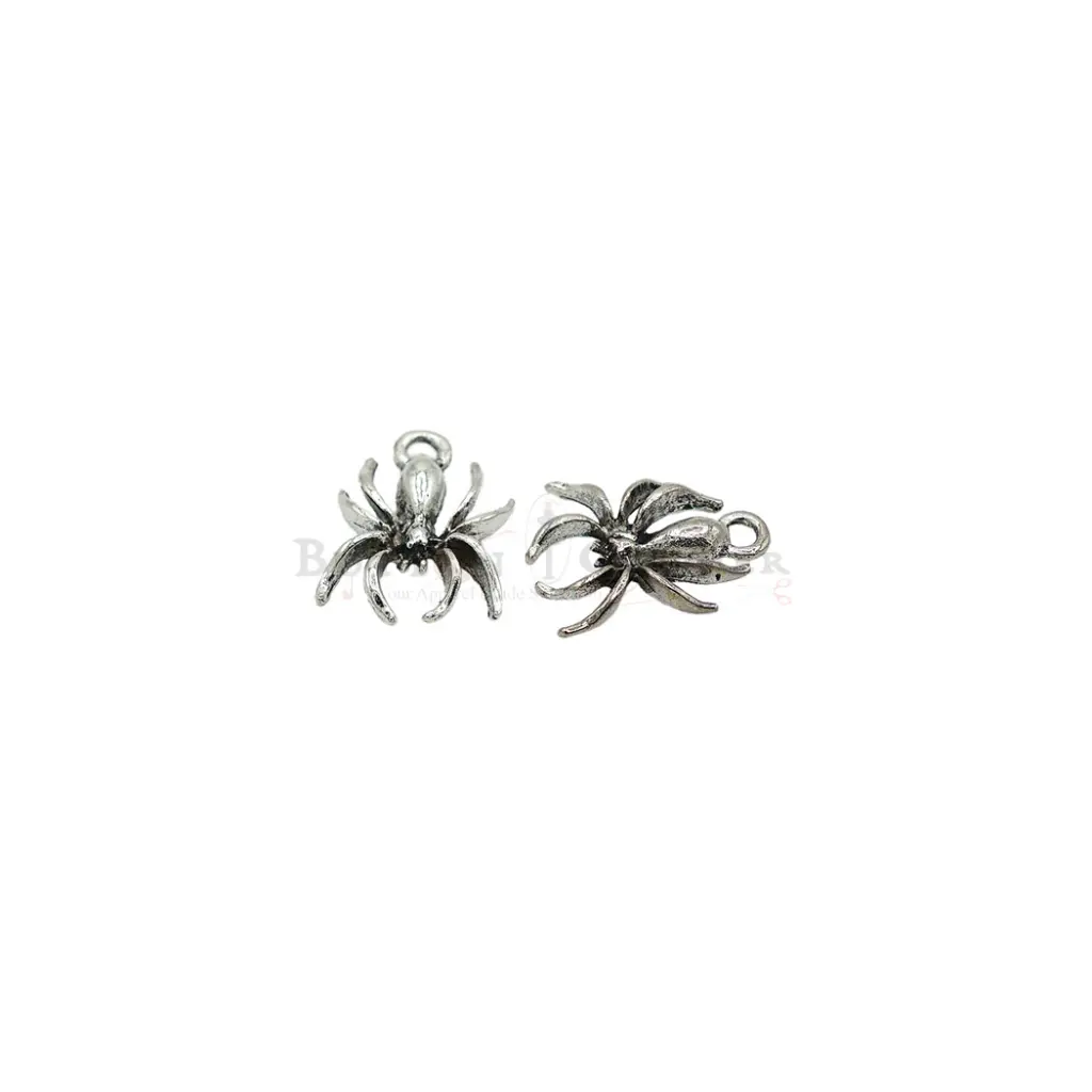 FA744-1 ANCIENT SILVER.webp