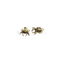 FA744-1 ANCIENT GOLD.webp