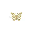 BSBF01-32MM-3 SHINE GOLD.webp