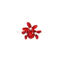 XJ-131 RED.webp