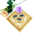 PTB02.webp