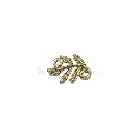 FA228 GOLD.webp