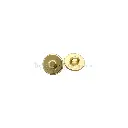 61641 LIGHT GOLD MUTE.webp