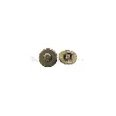 61641 TEA GOLD MUTE.webp