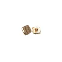 9340 BEIGE GOLD.webp