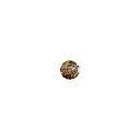 74804 GOLD (2).webp