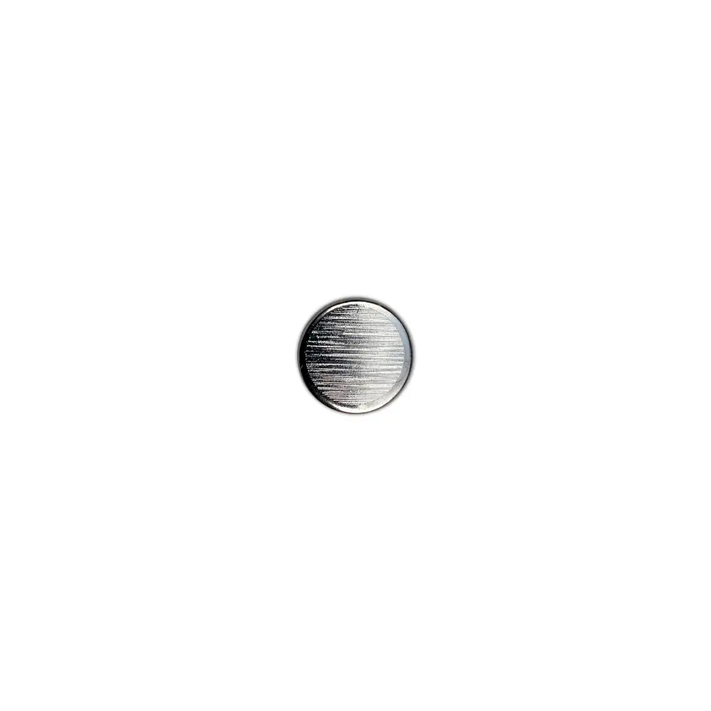 80078 SILVER.webp