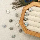 9341 PEARL LAT.webp