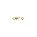HSH21090-6-1 LEMON.webp