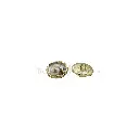 HSH21090-2-1 PEARLY WHT.webp