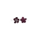 HSH21090-5-2 MAROON.webp