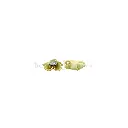 HSH21090-5-1 LEMON.webp