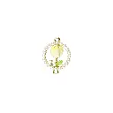 HSH9252-5 LEMON.webp