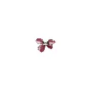 HSH9252-4 PURPLE.webp