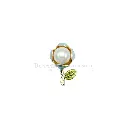J1022 AQUA GOLD.webp