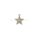 Star Shape Crystal Pendant
