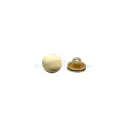 Smooth Surface Side Line Shirt Button