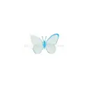 Lase Cut UV Design Lovely Organza Butterfly