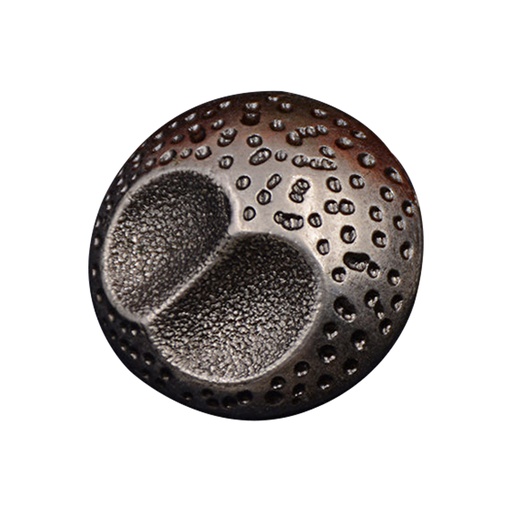 [MBW169-ANTIQUE BRASS] Doted Design Metal Suiting Button