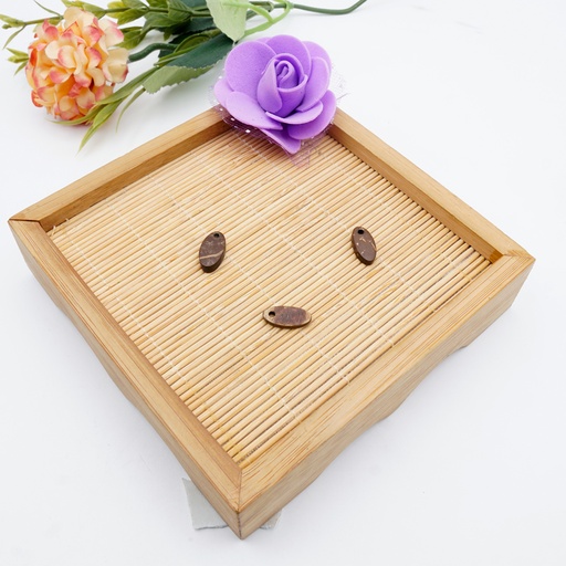 Oval Shape Hanging Coconut Button