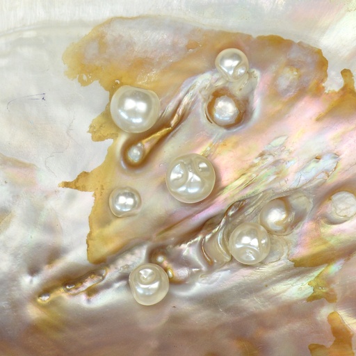 Plastic Pearl Button